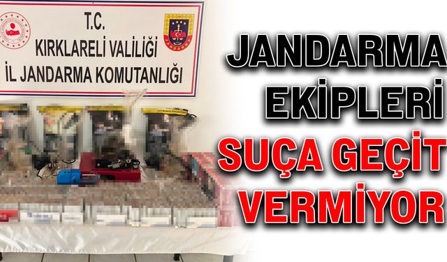 Jandarma ekipleri suça geçit vermiyor