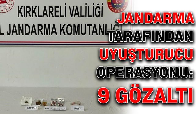 Jandarma tarafından uyuşturucu operasyonu: 9 gözaltı