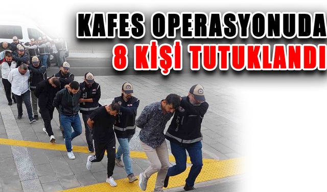 Kafes operasyonunda 8 kişi tutuklandı