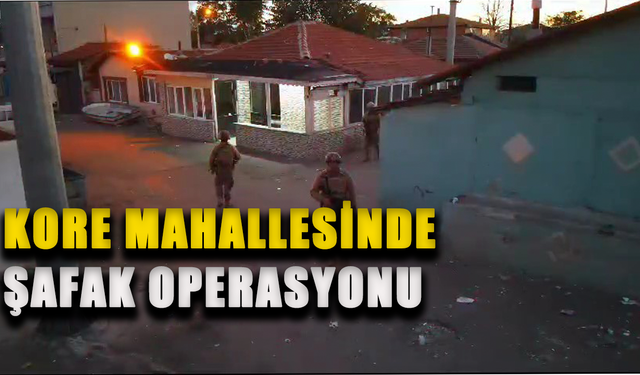 Şafak operasyonunda 9 kişi gözaltına alındı