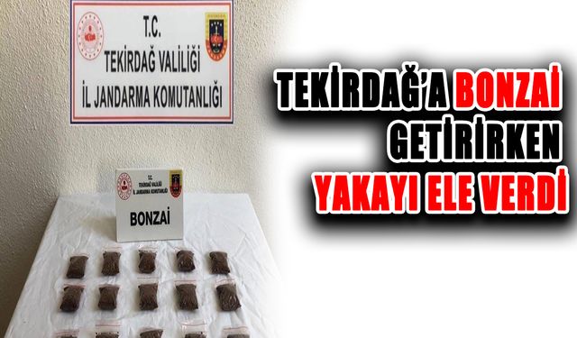 Tekirdağ’a bonzai getirirken yakayı ele verdi