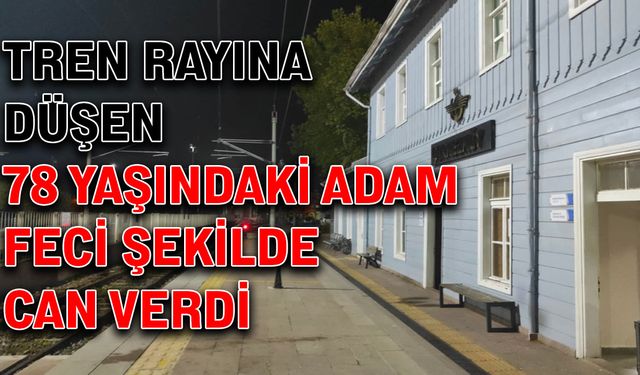 Tren rayına düşen 78 yaşındaki adam feci şekilde can verdi