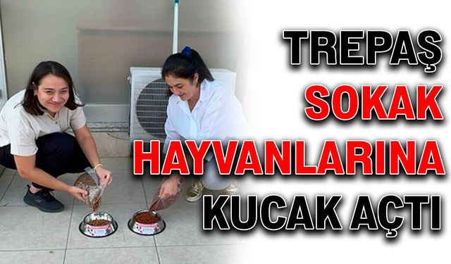 TREPAŞ, sokak hayvanlarına kucak açtı