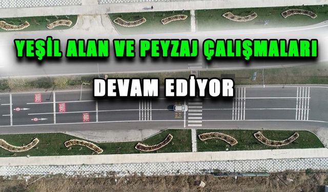 Yeşil alan ve peyzaj çalışmaları devam ediyor