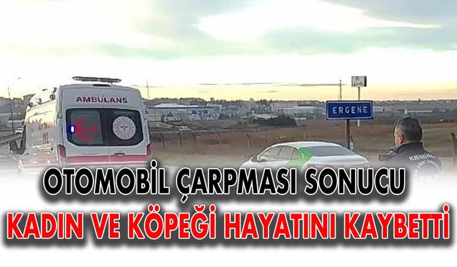 Otomobil çarpması sonucu kadın ve köpeği hayatını kaybetti