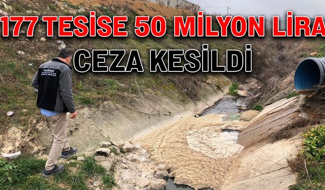 177 tesise 50 milyon lira ceza kesildi