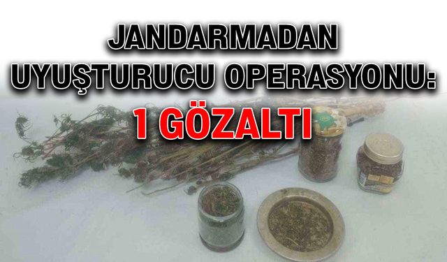 Jandarmadan uyuşturucu operasyonu: 1 gözaltı