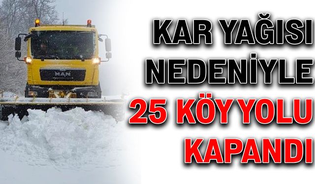 Kar yağışı nedeniyle 25 köy yolu kapandı