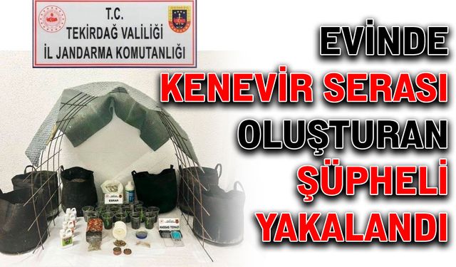 Evinde kenevir serası oluşturan şüpheli yakalandı