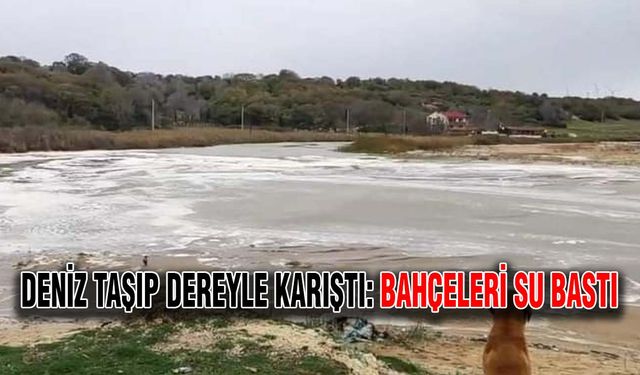 Deniz taşıp dereyle karıştı: Bahçeleri su bastı