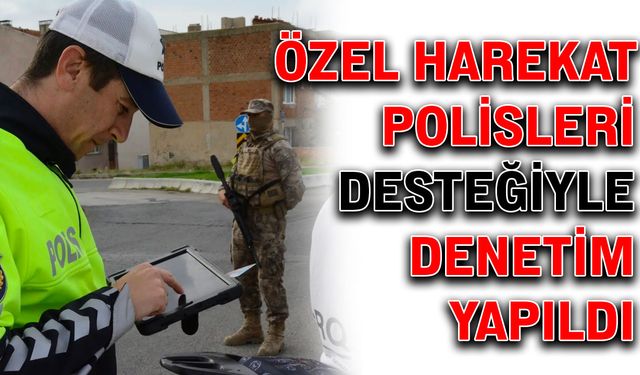 Özel harekat polisleri desteğiyle denetim yapıldı