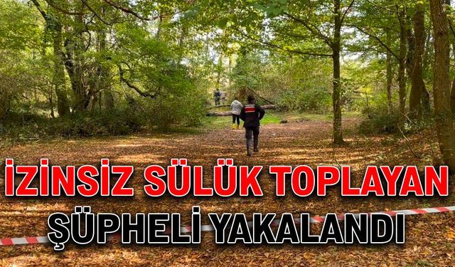 İzinsiz sülük toplayan şüpheli yakalandı