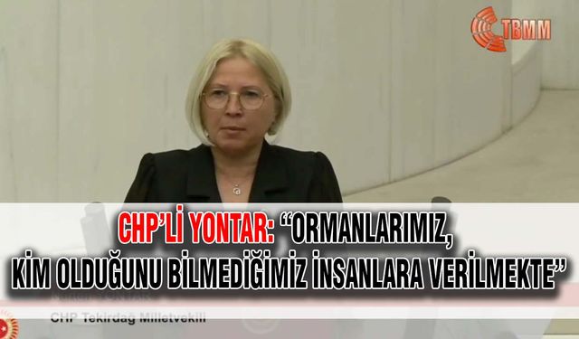 CHP’li Yontar: “Ormanlarımız, kim olduğunu bilmediğimiz insanlara verilmekte”