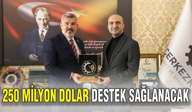 250 milyon dolar destek sağlanacak