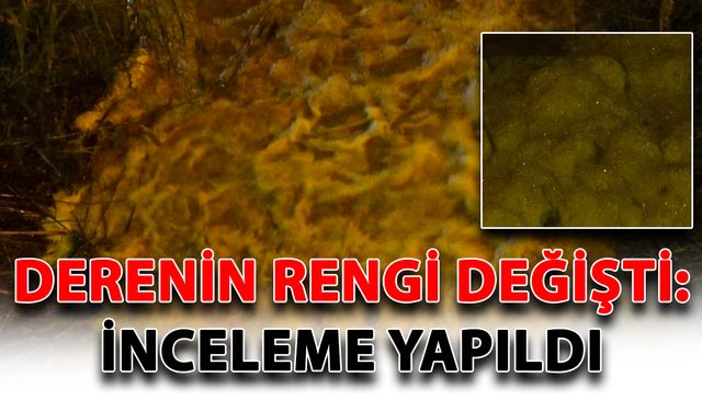 Derenin rengi değişti: İnceleme yapıldı