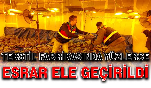 Tekstil fabrikasında yüzlerce esrar ele geçirildi