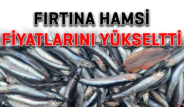 Fırtına hamsi fiyatlarını yükseltti