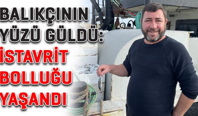 Balıkçının yüzü güldü: İstavrit bolluğu yaşandı