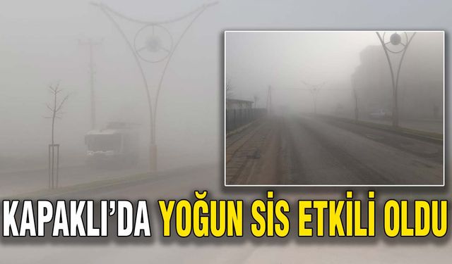 Kapaklı’da yoğun sis etkili oldu