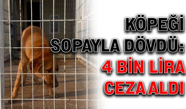 Köpeği sopayla dövdü: 4 bin lira ceza aldı