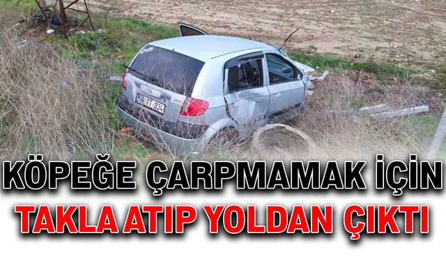 Köpeğe çarpmamak için takla atıp yoldan çıktı