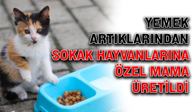 Yemek atıklarından sokak hayvanlarına özel mama üretildi