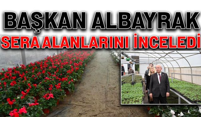 Başkan Albayrak sera alanlarını inceledi