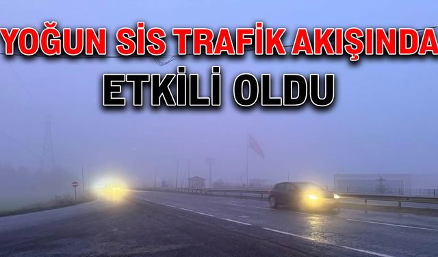 Yoğun sis trafik akışında etkili oldu