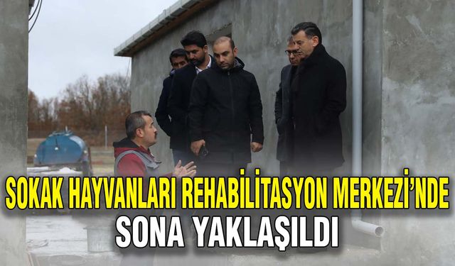 Sokak Hayvanları Rehabilitasyon Merkezi’nde sona yaklaşıldı