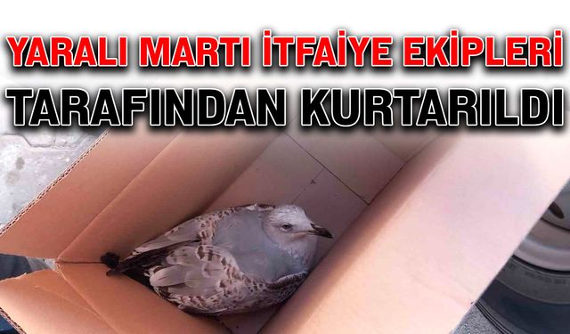 Yaralı martı itfaiye ekipleri tarafından kurtarıldı