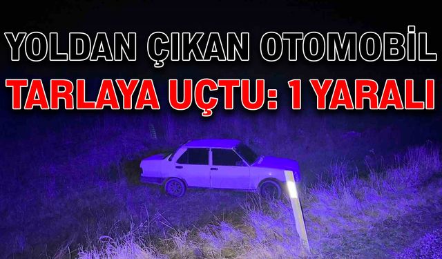 Yoldan çıkan otomobil tarlaya uçtu: 1 yaralı