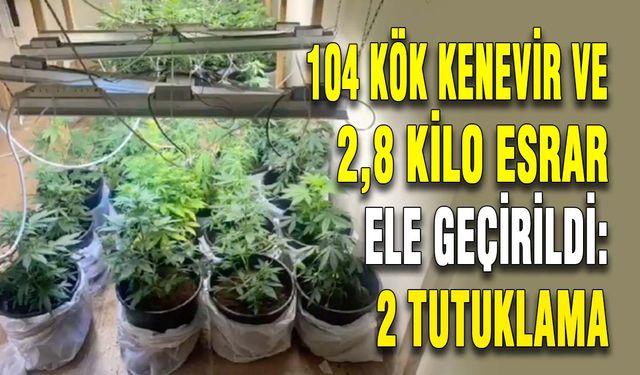 104 kök kenevir ve 2,8 kilo esrar ele geçirildi: 2 tutuklama