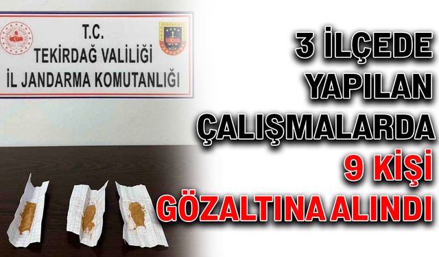 3 İlçede yapılan çalışmalarda 9 kişi gözaltına alındı