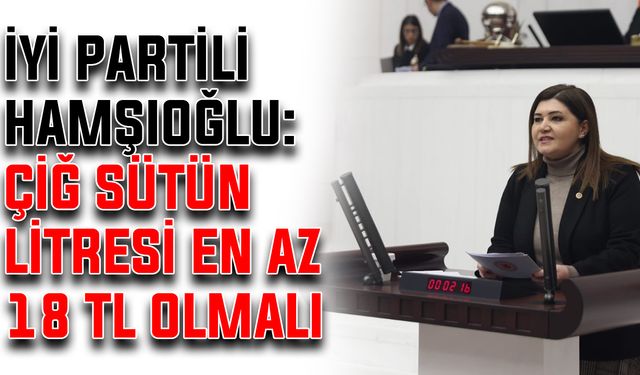 İYİ Partili Hamşıoğlu: Çiğ sütün litresi en az 18 lira olmalı