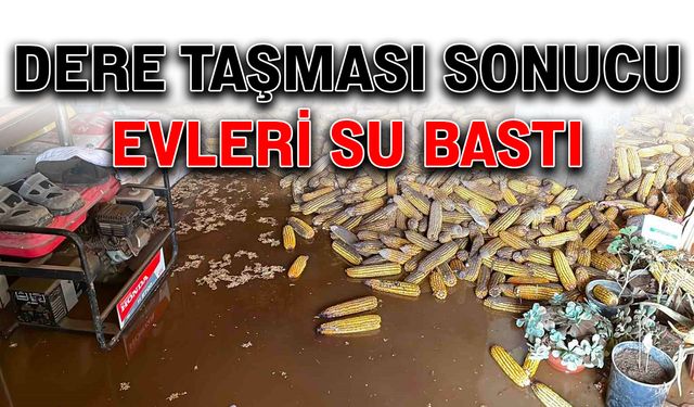 Dere taşması sonucu evleri su bastı