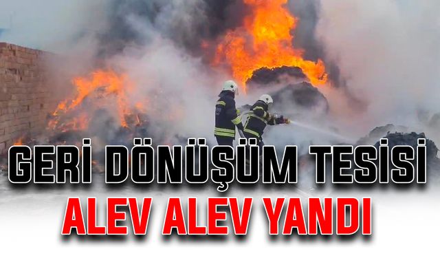 Geri dönüşüm tesisi alev alev yandı