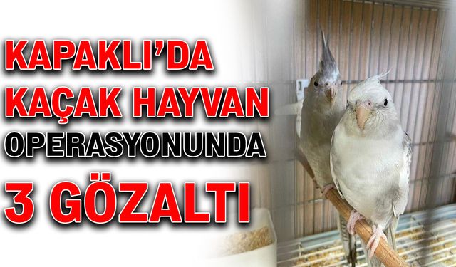 Kapaklı’da kaçak hayvan operasyonunda 3 gözaltı