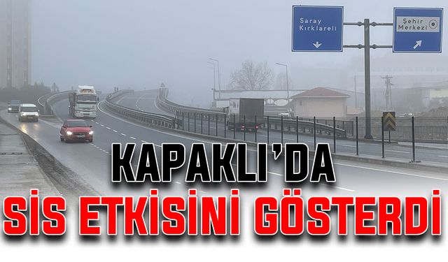 Kapaklı’da sis etkisini gösterdi