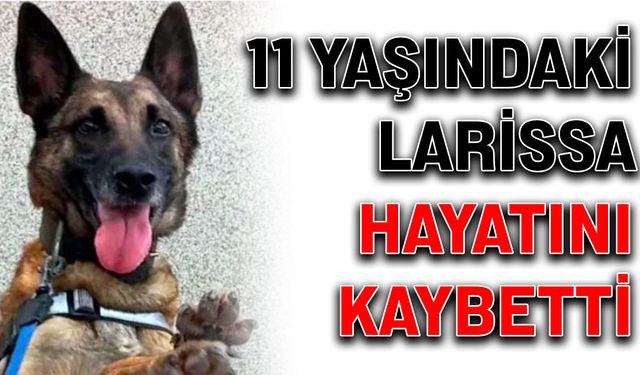 11 yaşındaki Larissa hayatını kaybetti