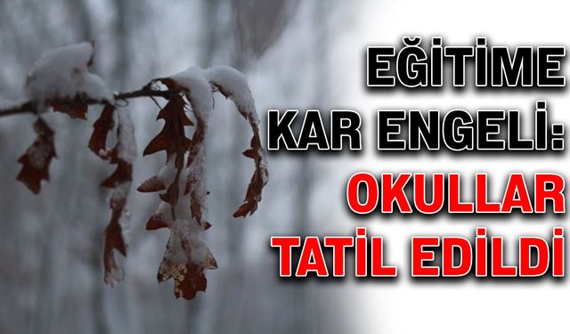 Eğitime kar engeli: Okullar tatil edildi