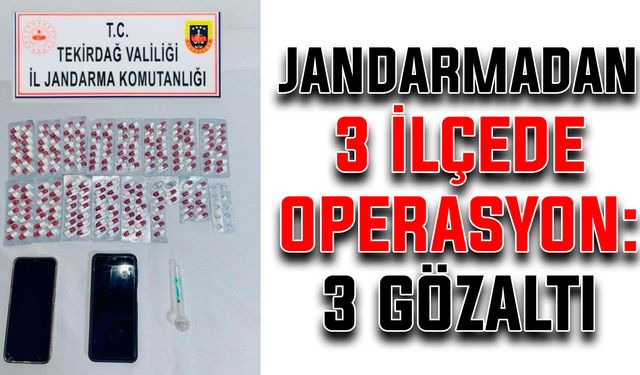 Jandarmadan 3 ilçede operasyon: 3 gözaltı