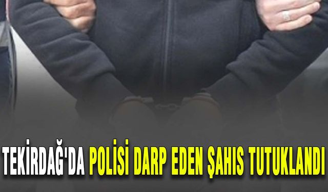 Tekirdağ'da polisi darp eden şahıs tutuklandı