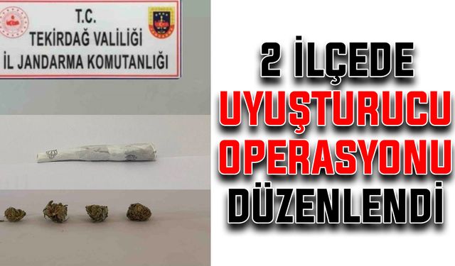 2 ilçede uyuşturucu operasyonu düzenlendi