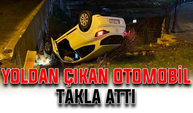 Yoldan çıkan otomobil takla attı