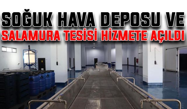 Soğuk Hava Deposu ve Salamura Tesisi hizmete açıldı