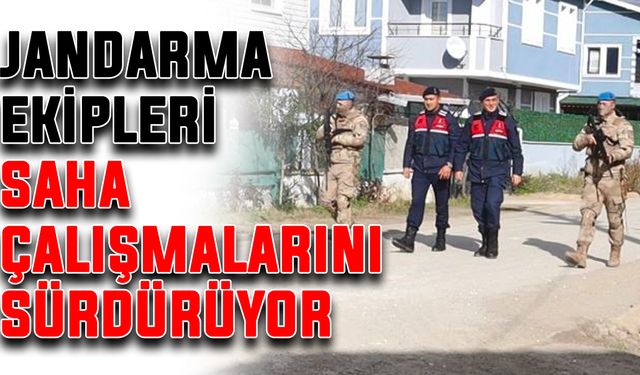 Jandarma ekipleri saha çalışmalarını sürdürüyor