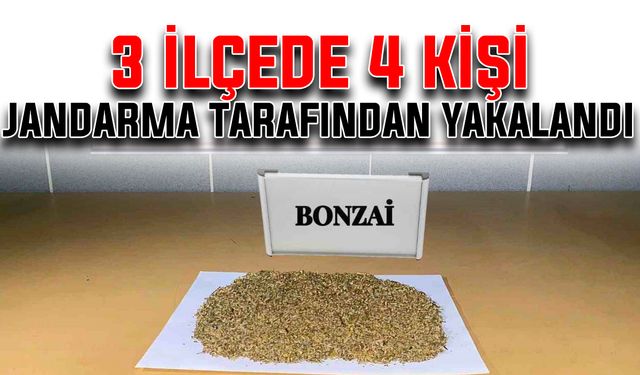 3 ilçede 4 kişi jandarma tarafından yakalandı