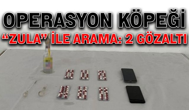 Operasyon köpeği "Zula" ile arama: 2 gözaltı