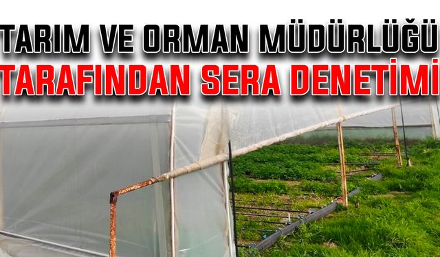 Tarım ve Orman Müdürlüğü tarafından sera denetimi