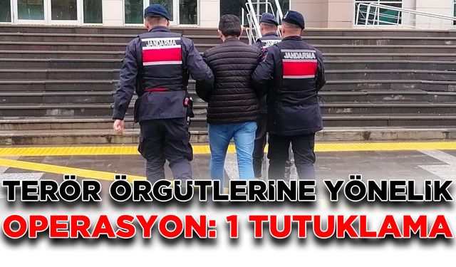 Terör örgütlerine yönelik operasyon: 1 tutuklama